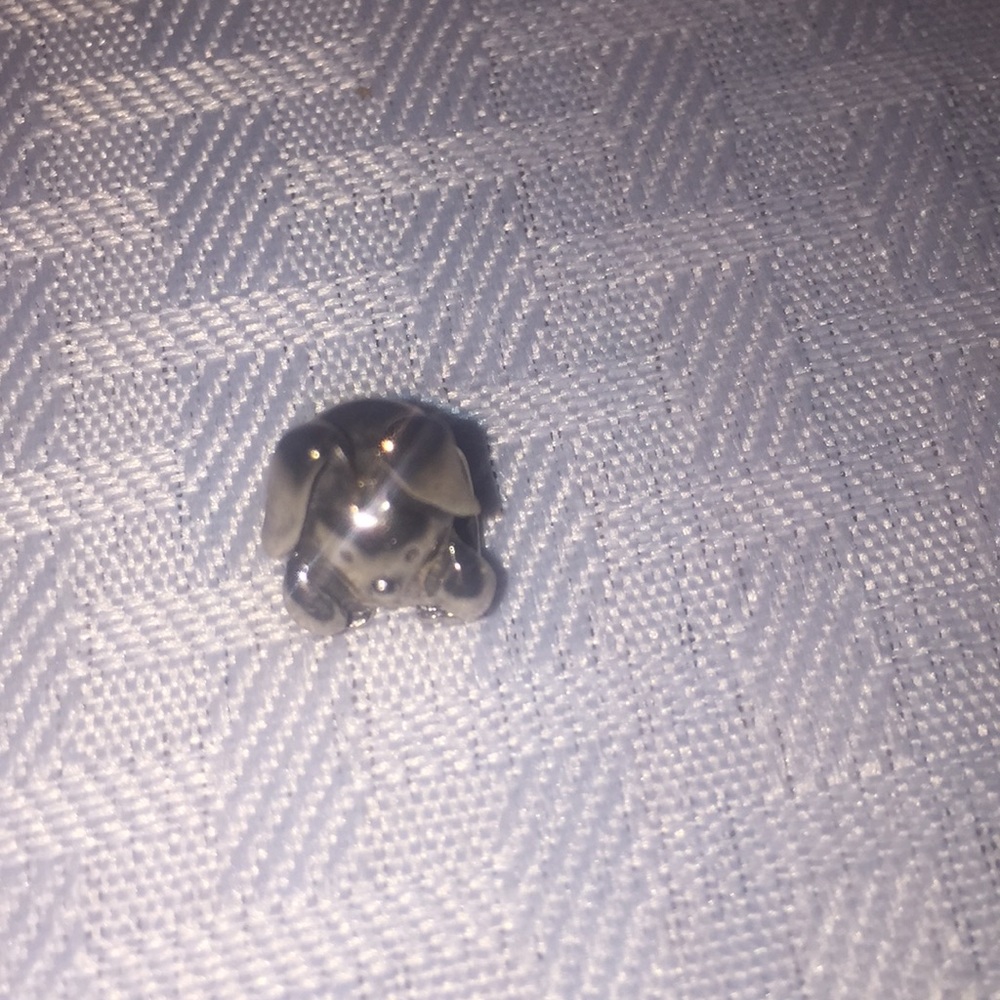Pandora rabbit charm